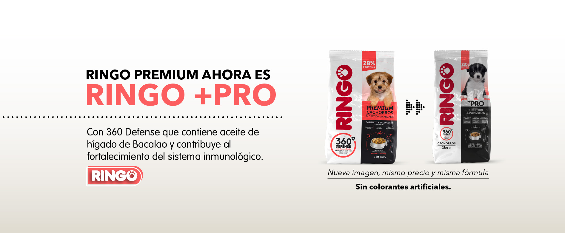 Ringo + Pro cachorros